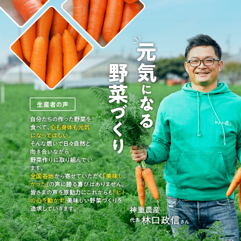 愛知県碧南市のふるさと納税 ＜フジテレビ『どっちのふるさと？』で紹介されました！＞ 【期間限定】訳あり！こどもも食べられる甘み！「マドンナキャロット」 2kg にんじん 人参 ニンジン 野菜 やさい 国産 碧南市 健康 食品ロス削減 甘い 先行予約 旬 特産 高評価 高リピート 人気 H105-134
