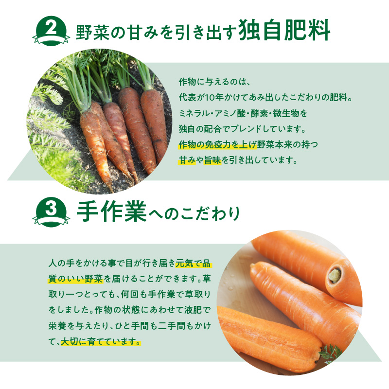 愛知県碧南市のふるさと納税 ＜フジテレビ『どっちのふるさと？』で紹介されました！＞ 【期間限定】訳あり！こどもも食べられる甘み！「マドンナキャロット」 2kg にんじん 人参 ニンジン 野菜 やさい 国産 碧南市 健康 食品ロス削減 甘い 先行予約 旬 特産 高評価 高リピート 人気 H105-134