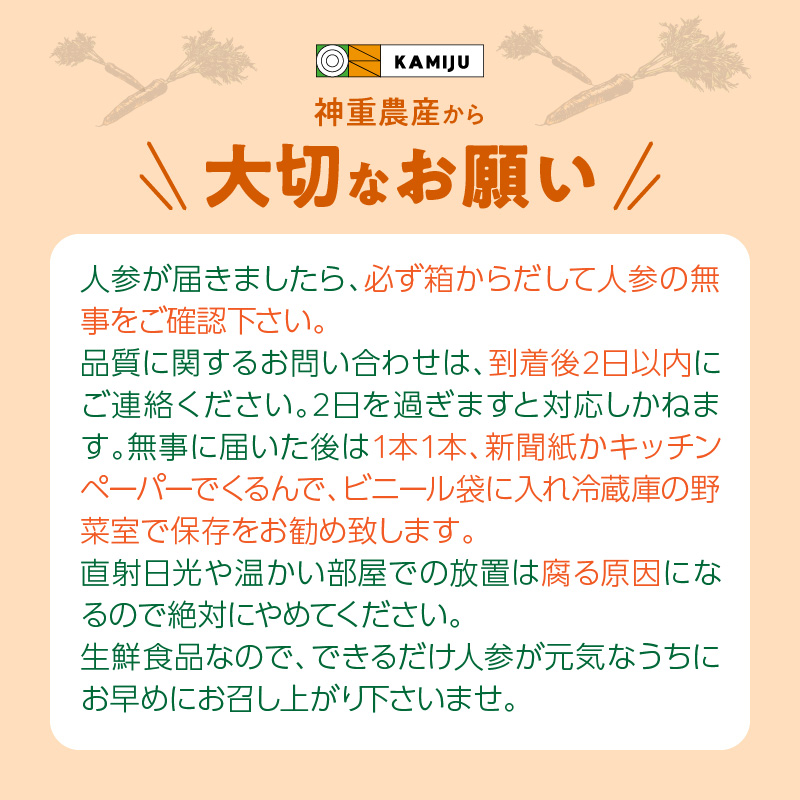 愛知県碧南市のふるさと納税 訳あり！こどもも食べられる甘み！「マドンナキャロット」 5Kg にんじん 野菜　H105-084