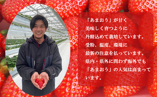 福岡県福津市のふるさと納税 【2025年3月より順次発送】福津産あまおう約180g×6パック【スカイフローラファーム】[F0151]