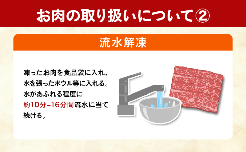 宮崎県日南市のふるさと納税 【令和6年12月配送】数量限定 宮崎牛 モモスライス 計1.1kg 牛肉 赤身 国産 すき焼き しゃぶしゃぶ 牛丼 焼肉 BBQ バーベキュー 鉄板焼き 人気 おすすめ 高級 ギフト プレゼント 贈り物 贈答 お祝い 配送月が選べる 宮崎県 日南市 送料無料_CC57-24-ZO-12