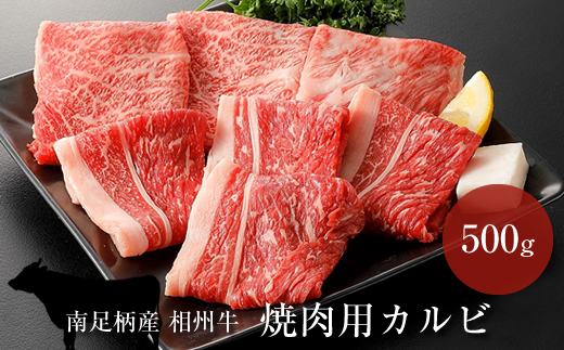 相州牛 焼肉・網焼き用カルビ 500g(厚切り)