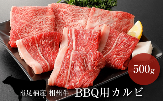 相州牛 BBQ用セット 500g (厚切り&薄切りセット)