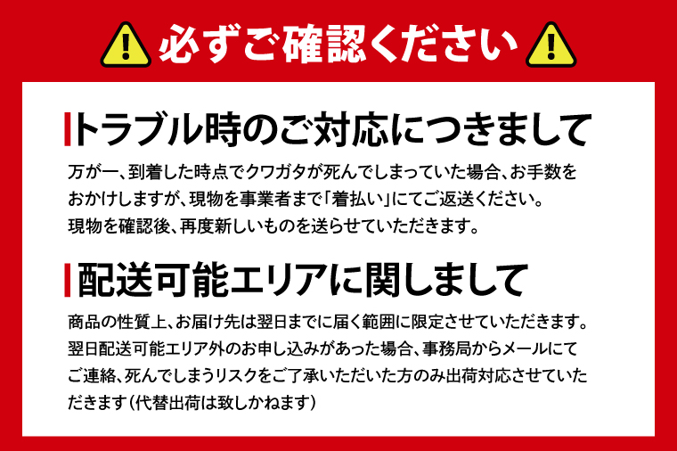 国産オオクワガタ♂♀ペア飼育セット【クワガタ クワガタムシ カブトムシ 昆虫 虫 国産 飼育 セット 夏休み 自由研究 鹿嶋市  茨城県】（KBY-2）（茨城県鹿嶋市） | ふるさと納税サイト「ふるさとプレミアム」