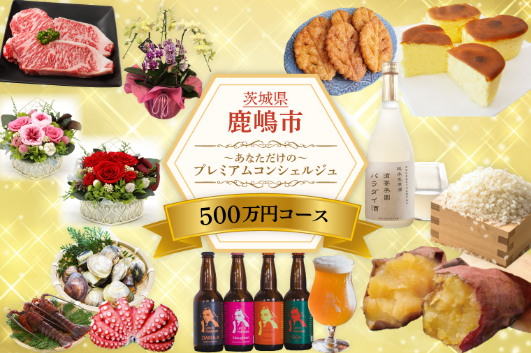 【茨城県鹿嶋市】あなただけの〜プレミアム コンシェルジュコース〜(500万円)(ZY-11)