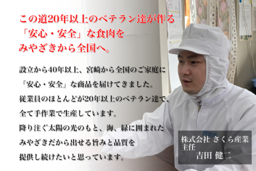 宮崎県美郷町のふるさと納税 鶏肉 若鶏 むね肉 ささみ 手羽元 セット 各 1kg ×2 計 6kg [九州児湯フーズ 宮崎県 美郷町 31ai0011] 肉 鶏 むね ムネ ササミ 冷凍 宮崎県産 小分け 詰め合わせ