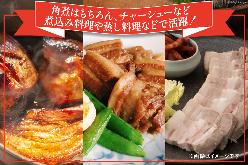 宮崎県美郷町のふるさと納税 選べる 発送月 訳あり 豚肉 豚バラ ブロック 2kg 5～7p [甲斐精肉店 宮崎県 美郷町 31as0053] 小分け 不揃い 冷凍 真空パック 宮崎 バラ