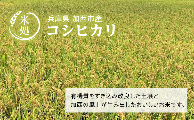 兵庫県加西市のふるさと納税 【令和6年産新米予約受付】コシヒカリ 3kg×5袋 単一原料米 おいしい お米 事業者支援 白米 精米 国産 ごはん ご飯 白飯 小分け 百合農園