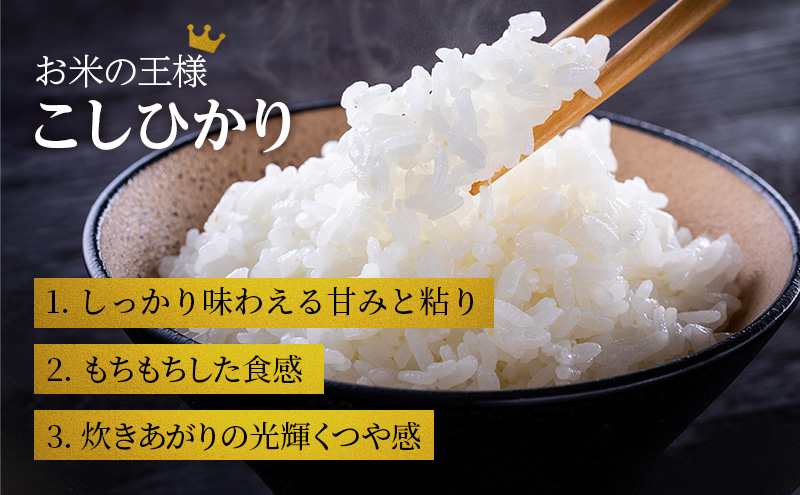 兵庫県加西市のふるさと納税 【令和6年産新米予約受付】コシヒカリ 3kg×5袋 単一原料米 おいしい お米 事業者支援 白米 精米 国産 ごはん ご飯 白飯 小分け 百合農園