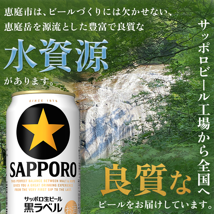 北海道恵庭市のふるさと納税 【期間限定】サッポロ  黒ラベル350ml×24本 ｜ サッポロビール サッポロ ビール 黒ラベル 350ml 24本 生ビール 北海道 ふるさと納税 恵庭市 恵庭【30006702】