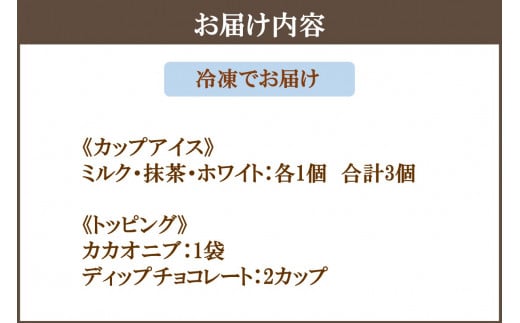 福岡県飯塚市のふるさと納税 カカオ研究所 アイスチョコレートセット(3個入り)【A6-017】