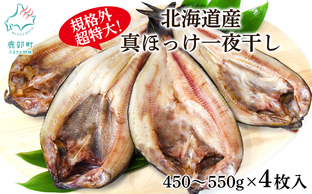 ykCzyEKiOzkCY ^ق銱 i450g`550g/ j4 銱 Ă т̂ ӎ ܂ Ⓚ 