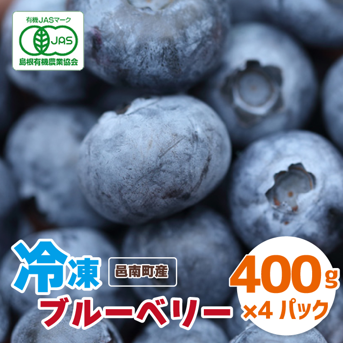 有機 冷凍ブルーベリー1.6kg（400g