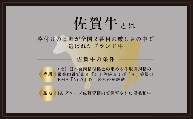 佐賀県大町町のふるさと納税 佐賀牛サイコロステーキ 800g