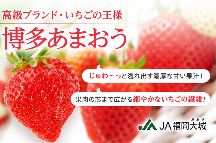 福岡県大木町のふるさと納税 【限定】【アフター保証】先行予約 博多あまおう 福岡県JAグループのブランド あまおう いちご 1080g（約270g×４パック） 【2025年2月上旬から順次発送】 AG010-1