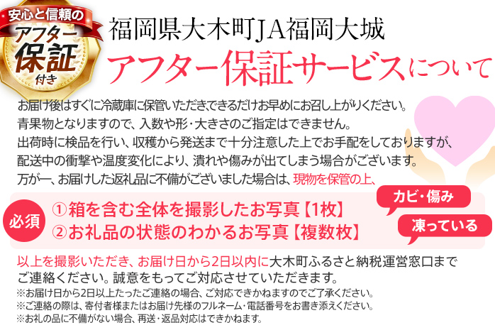 福岡県大木町のふるさと納税 【限定】【アフター保証】先行予約 博多あまおう 福岡県JAグループのブランド あまおう いちご 1080g（約270g×４パック） 【2025年2月上旬から順次発送】 AG010-1