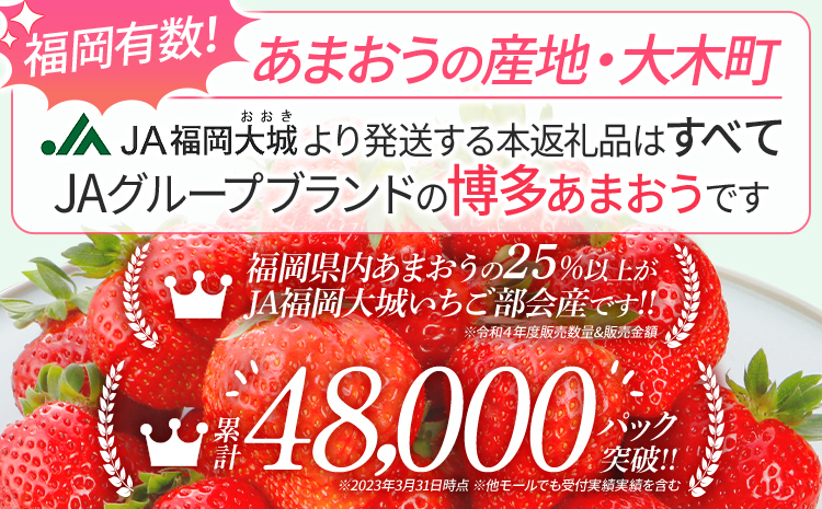 福岡県大木町のふるさと納税 【限定】【アフター保証】先行予約 博多あまおう 福岡県JAグループのブランド あまおう いちご 1080g（約270g×４パック） 【2025年2月上旬から順次発送】 AG010-1