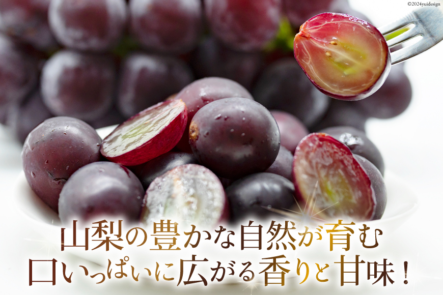 山梨県中央市のふるさと納税 【2025年発送】 山梨県産 ピオーネ 約1.8kg [株式会社えべし 山梨県 中央市 21470729] フルーツ 果物 くだもの 産地直送 期間限定 季節限定 冷蔵