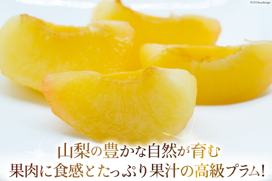 山梨県中央市のふるさと納税 【2025年発送】 貴陽 (大玉) [株式会社えべし 山梨県 中央市 21470728] 果物 くだもの スモモ すもも プラム 李 もも 山梨県産 期間限定 季節限定 冷蔵