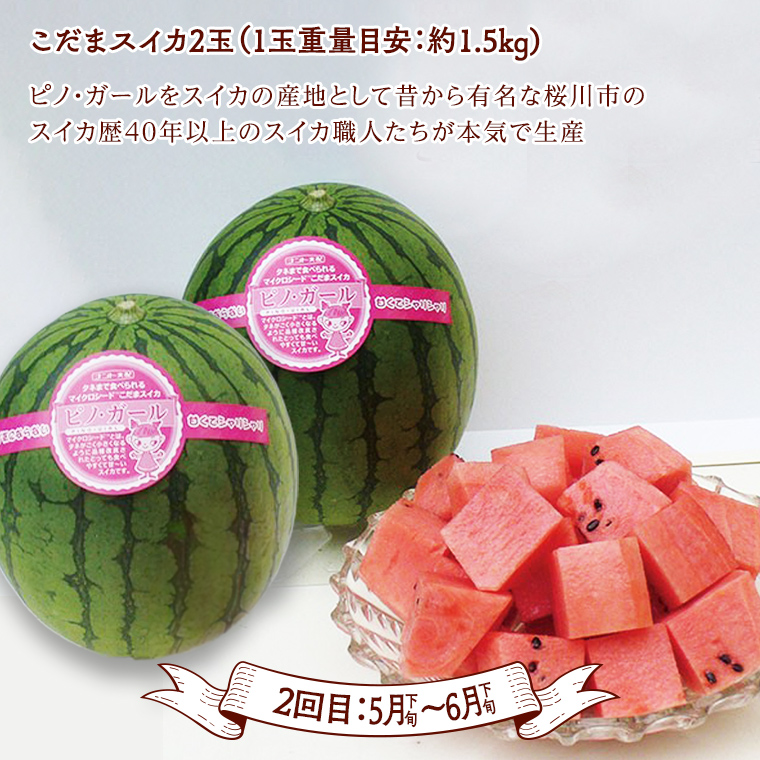 茨城県桜川市のふるさと納税 【 定期便 】【 2025年2月下旬から発送開始 全4回 】 数量限定 贅沢 フルーツ 満喫コース 旬の果実 旬のフルーツ くだもの 果実 トマト フルーツトマト スイカ いちご メロン 特選 贅沢 厳選 定期便 [BC056sa]