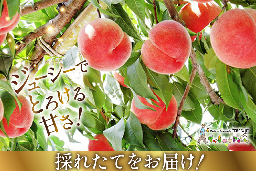 山梨県中央市のふるさと納税 【2025年発送】 山梨県産 桃 約 3kg [株式会社えべし 山梨県 中央市 21470559] もも モモ フルーツ 果物 くだもの 3キロ 産地直送 季節限定 期間限定 冷蔵