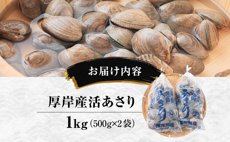 Yahoo!オークション - 北海道根室産活アサリ 3cm 小粒サイズ 5kg