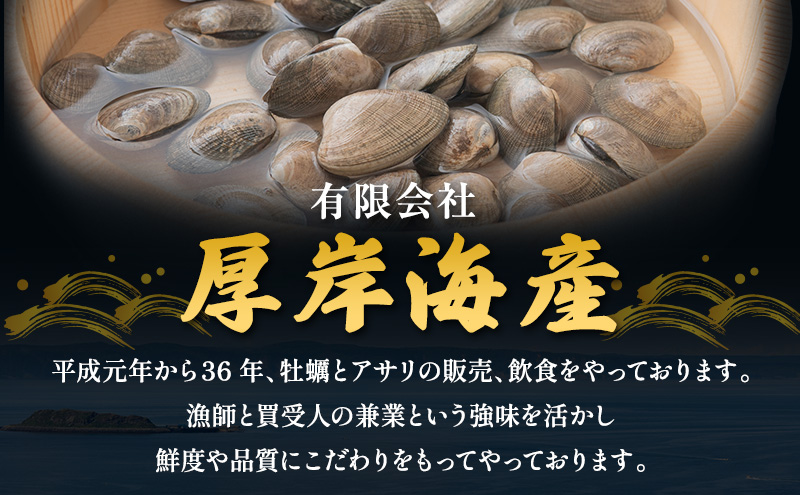 北海道厚岸町のふるさと納税 北海道 厚岸産 訳あり 活あさり 500g アサリ