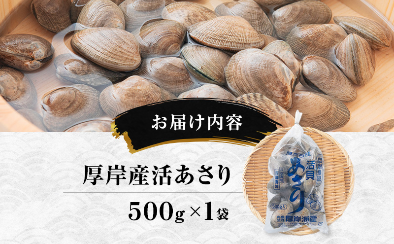 北海道厚岸町のふるさと納税 北海道 厚岸産 訳あり 活あさり 500g アサリ