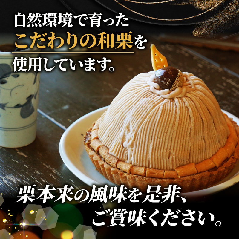 ふるさと納税 愛南町 菓子職人が贈る 季節のスイーツ定期便 〜6