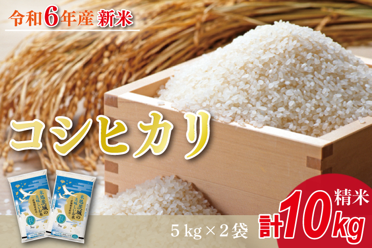 茨城県行方市のふるさと納税 HA-2　★新米★【数量限定】R6年産 コシヒカリ 10kg(5kg×2袋)　茨城県産米