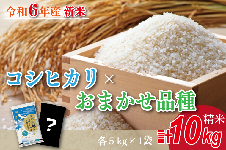 茨城県行方市のふるさと納税 HA-3　★新米★【数量限定】R6年産 コシヒカリ 5kg＋おまかせ 5kg　茨城県産米　おいしさ食べ比べセット