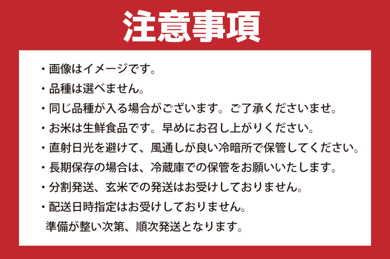 茨城県行方市のふるさと納税 HA-3　★新米★【数量限定】R6年産 コシヒカリ 5kg＋おまかせ 5kg　茨城県産米　おいしさ食べ比べセット