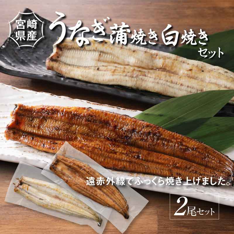 宮崎県産 うなぎ 白焼き 蒲焼き 2尾セッ