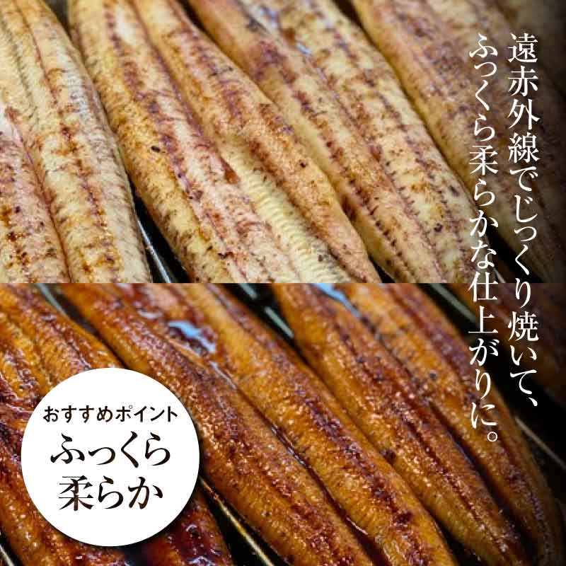 宮崎県木城町のふるさと納税 宮崎県産 うなぎ 白焼き 蒲焼き 2尾セット K10_0008_3