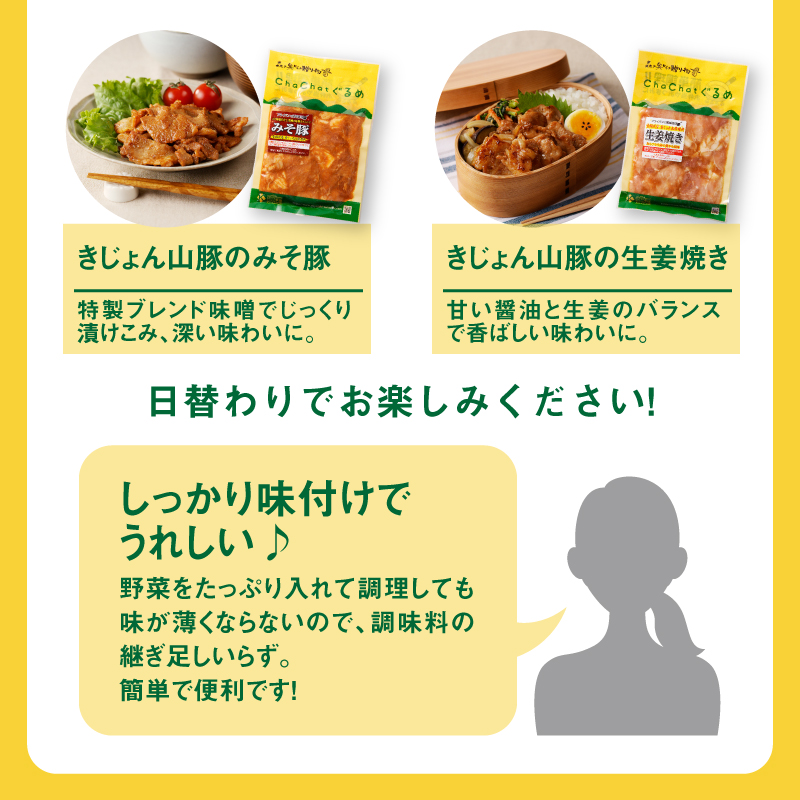 宮崎県木城町のふるさと納税 【スピード発送!!４日以内に発送】 ＜ChaChatぐるめ　15個バラエティセット＞ K16_0040_2