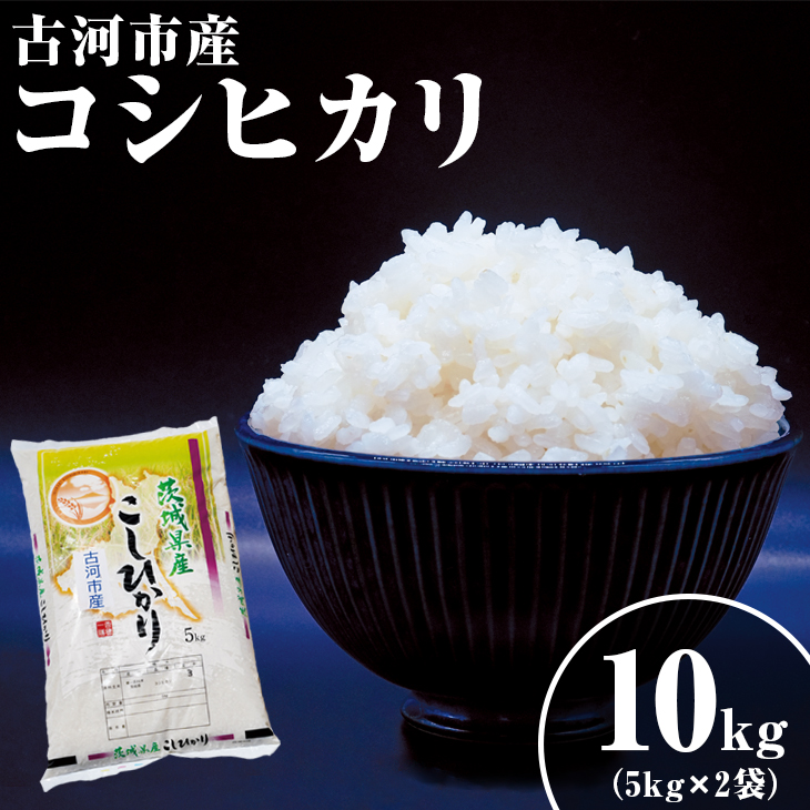 令和6年産 新米 10kg 関東平野で育った古河市産コシヒカリ 10kg (5kg×2袋) | こめ 米 コメ こしひかり 10キロ 古河市産 茨城県産 _DG02 ※北海道・沖縄・離島への配送不可