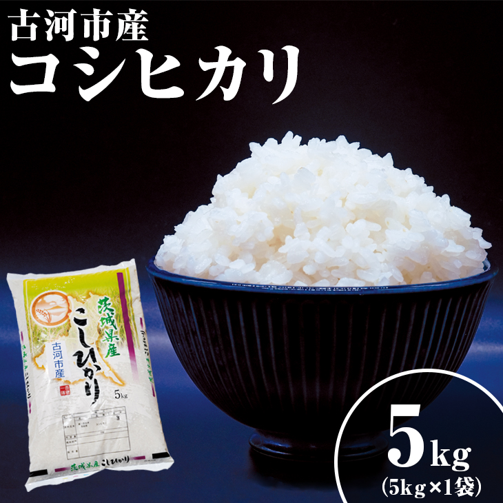 令和6年産 新米 5kg 関東平野で育った古河市産コシヒカリ 5kg (5kg×1袋) | こめ 米 コメ こしひかり 5キロ 古河市産 茨城県産 _DG03 ※北海道・沖縄・離島への配送不可