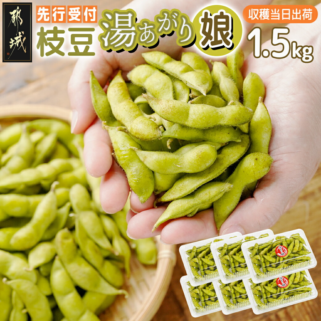 [先行受付]都城産枝豆(湯あがり娘)1.5kg(250g×6P)_11-B402-7