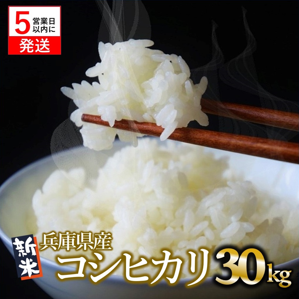 【令和６年産 コシヒカリ】白米30kg（10kg×3袋）2024年産【５営業日以内に発送】