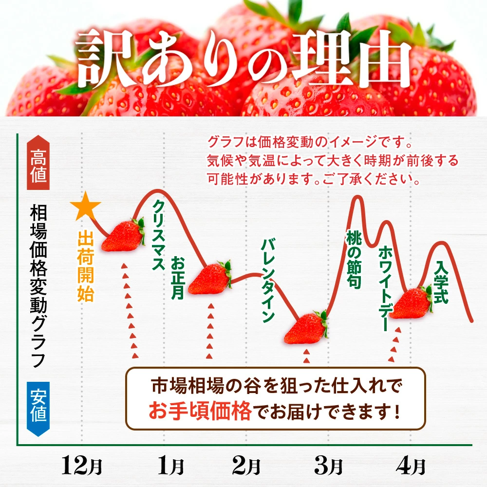 福岡県篠栗町のふるさと納税 MZ058 福岡県産 あまおう 1080g　先行予約 2025年1月～3月末にかけて順次発送予定