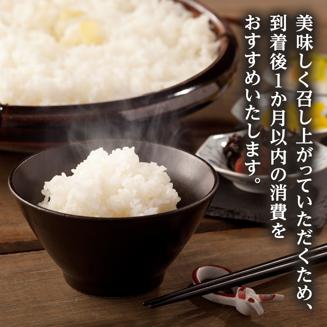 茨城県筑西市のふるさと納税 茨城県 筑西市産 コシヒカリ 10kg ( 5kg × 2袋 ) 令和6年産 三ツ星 マイスター 米 コメ こしひかり 単一米 精米 [CH004ci]