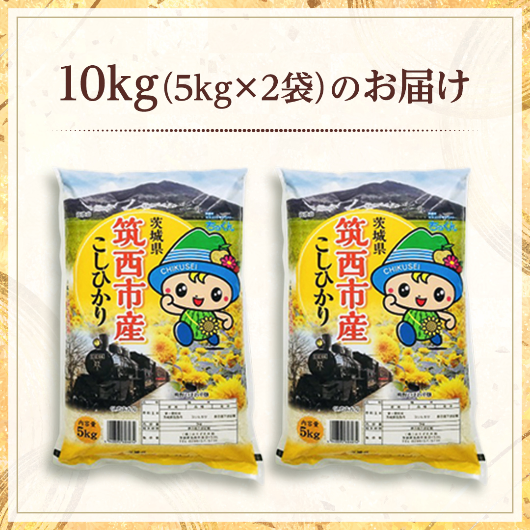 茨城県筑西市のふるさと納税 茨城県 筑西市産 コシヒカリ 10kg ( 5kg × 2袋 ) 令和6年産 三ツ星 マイスター 米 コメ こしひかり 単一米 精米 [CH004ci]