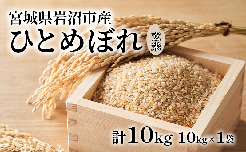 楽天市場】令和6年産 本場 宮城県産 ひとめぼれ 10kg 玄米 5分 7