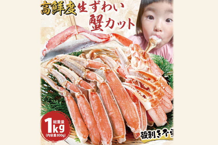 カット済 生本ずわいがに 総重量1kg(内容量800g) < 数量限定 >＜ 生食OK ＞ < 工場直送 > 生ずわいがに ずわいがに ずわい蟹 生冷ずわいがに 生ずわい ずわい かに かに足 蟹足 足 かに脚 蟹脚 脚 かに肩 蟹肩 肩 かに爪 蟹爪 爪 かに鍋 蟹鍋 かにしゃぶ 蟹しゃぶ かに刺し 刺身 焼き蟹 焼きガニ 魚介 海鮮