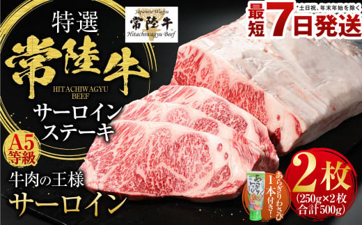 y錧JszyIz헤iЂイj A5 T[CXe[L 2i250g×2j v500gi錧ʕԗi 錧Yj