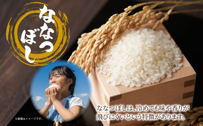 北海道滝川市のふるさと納税 3ヵ月定期便 北海道滝川産 ななつぼし 5kg 米 お米 白米 ライス ご飯 ごはん 白飯 主食 国産 国産米 国産ブランド 日本産 おすすめ 農家 簡単 自炊 アレンジ 北海道 滝川市