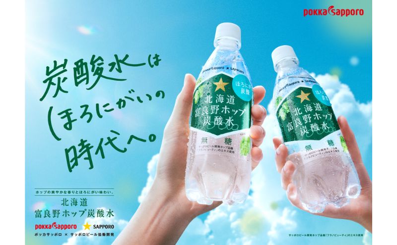 北海道 定期便 3ヵ月 連続 全3回 炭酸水 500ml × 24本 北海道富良野ホップ炭酸水 ポッカサッポロ 無糖 北海道富良野ホップ ペットボトル 炭酸飲料 炭酸 ソーダ ソーダ水 飲み物 飲料 ドリンク (有)リカーショップかまだ 上富良野町