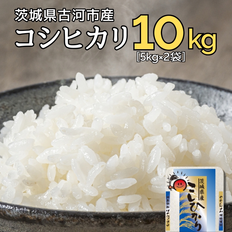 新米 令和6年産 古河市のお米 コシヒカリ 10kg(5kg×2袋) ※着日指定可 | 米 こめ コメ 10キロ こしひかり コシヒカリ 古河市産 茨城県産 贈答 贈り物 プレゼント 茨城県 古河市 直送 産地直送 送料無料 着日指定可 着日指定OK _DP90