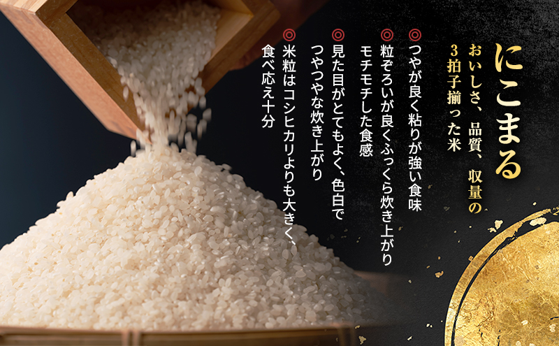 兵庫県産 銘柄:にこまる 白米10kg