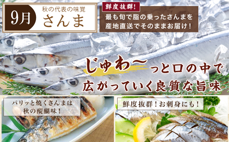 厚岸旬のふるさとセット 年5回お届け(毛蟹、北海しまえび 厚岸旬のふるさとセット 年5回お届け(毛蟹、北海しまえび